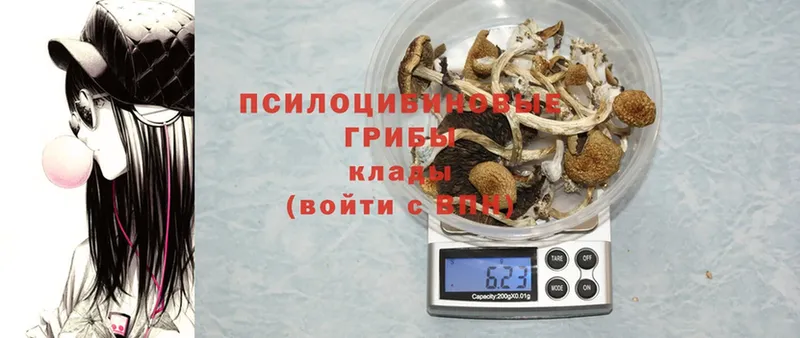 blacksprut вход  цены наркотик  Покровск  Галлюциногенные грибы GOLDEN TEACHER 